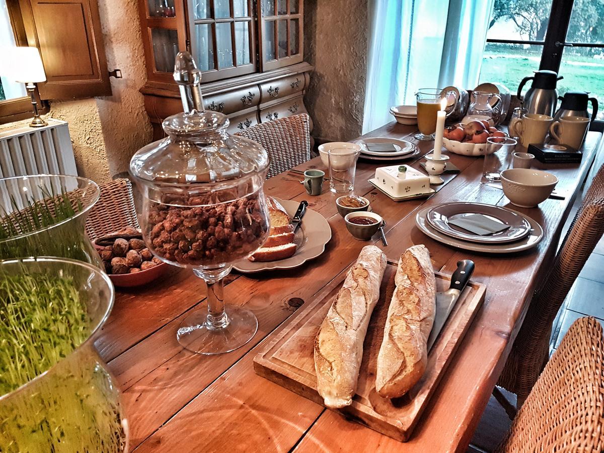 Le Domaine Saint Martin Bed & Breakfast Flassans-sur-Issole Exterior photo