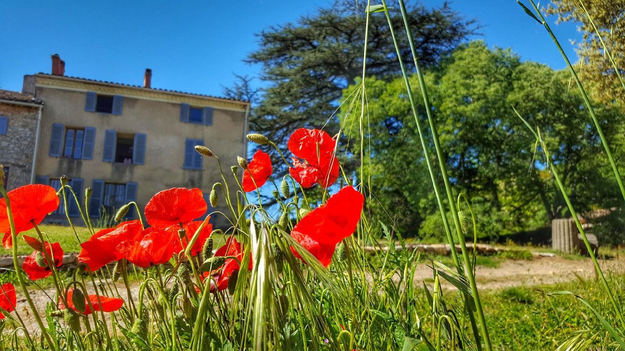Le Domaine Saint Martin Bed & Breakfast Flassans-sur-Issole Exterior photo